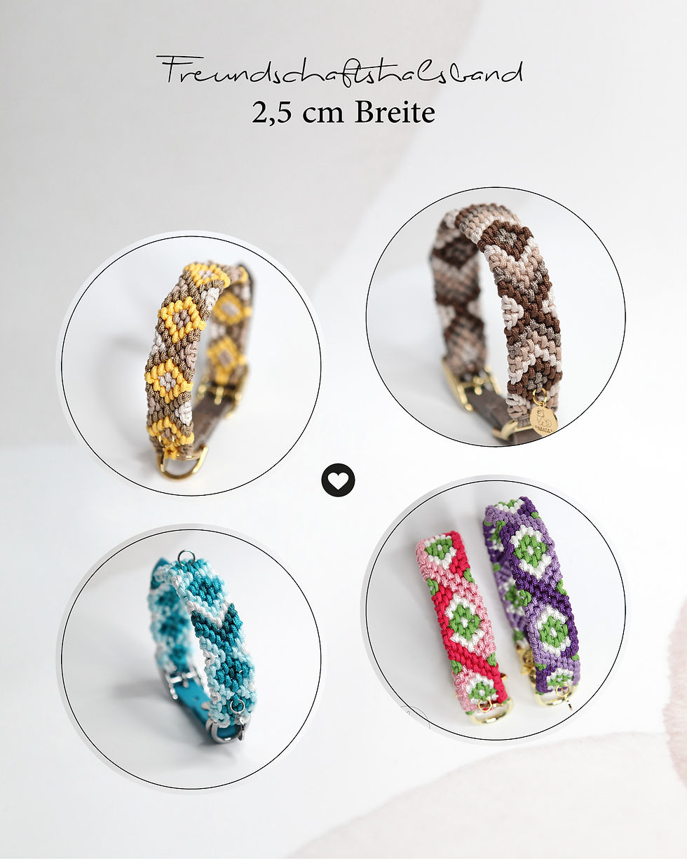 Freundschaftshalsband