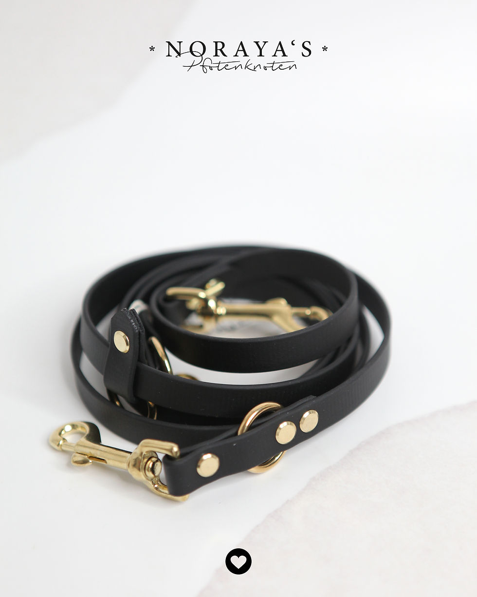 Sofortkauf - Leine Biothane Basic, 16mm, bis 25kg