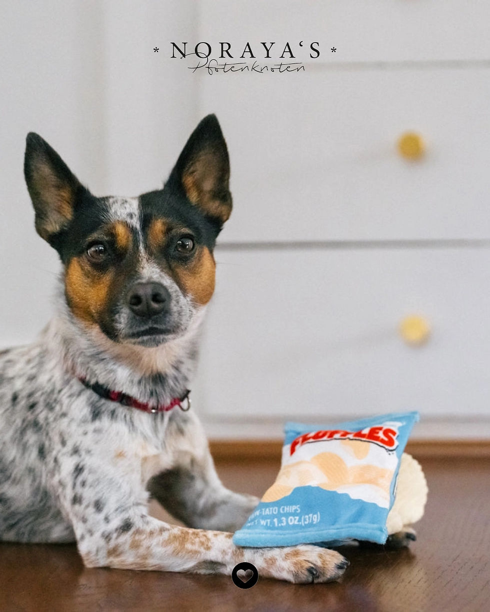 Miniaturbild: P.L.A.Y. -  Snack Attack Fluffles Chips (XS) (M)