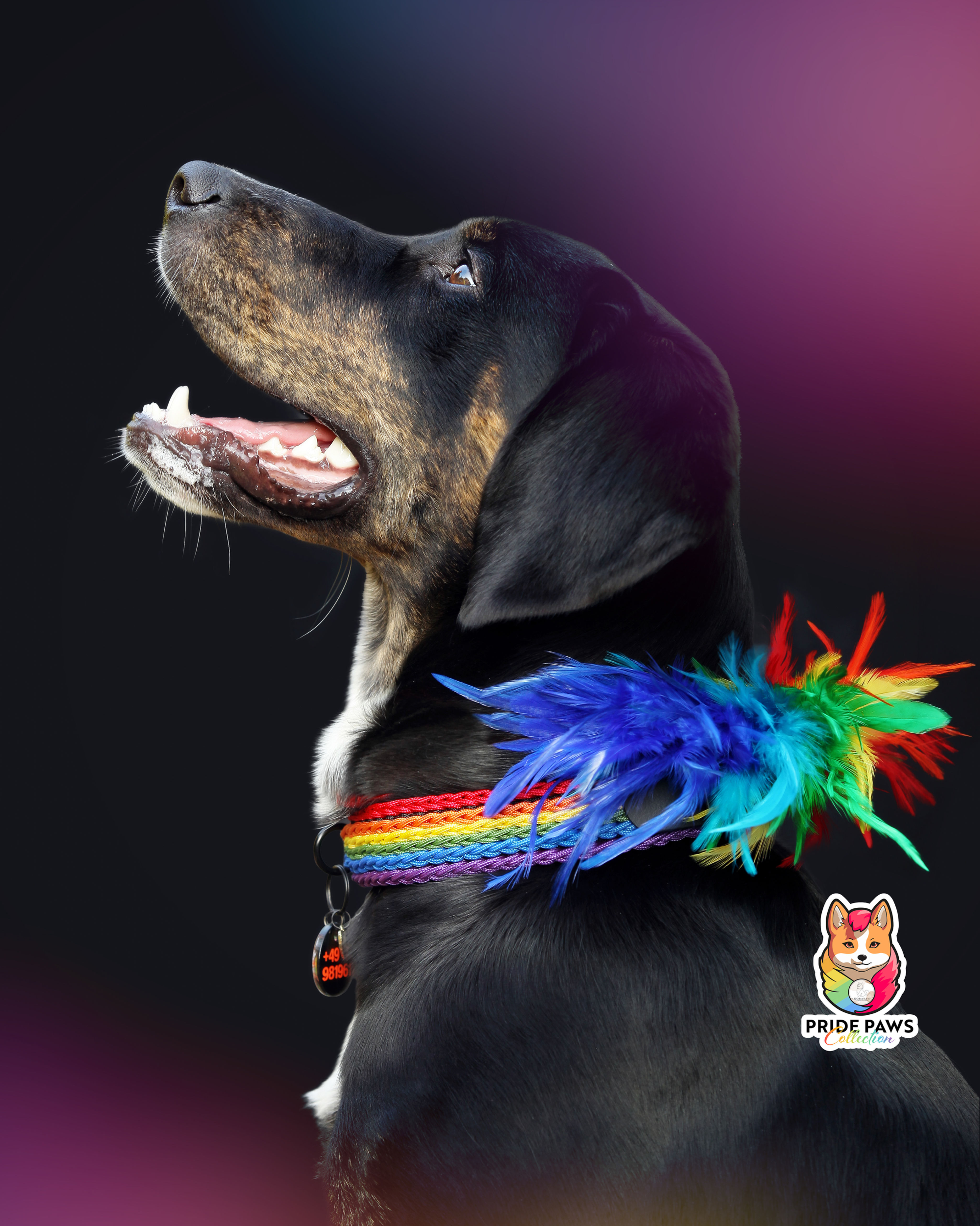 Pride Paws Vielfalt - Halsband