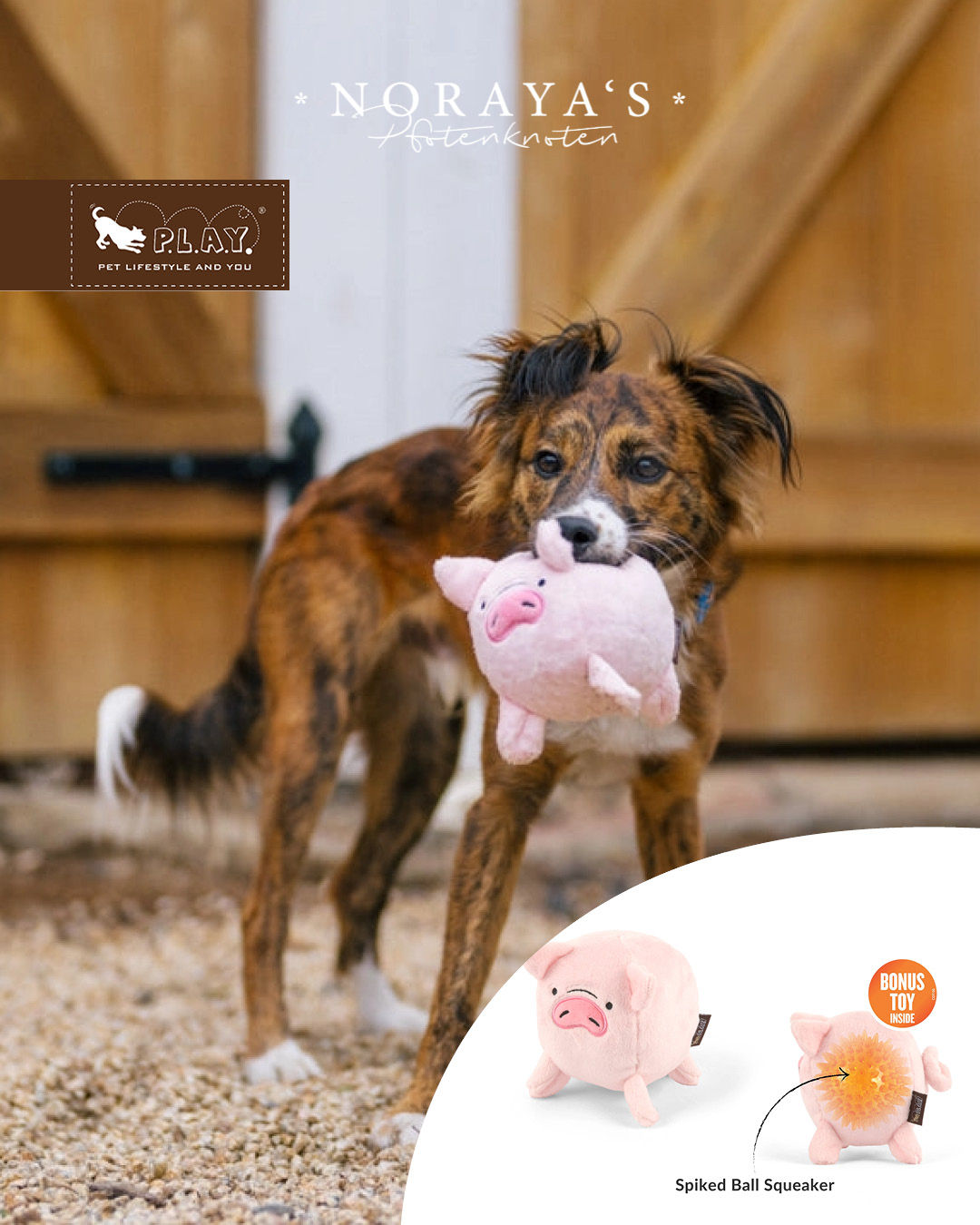 P.L.A.Y. Scheunenhof-Freunde Paul das Schwein