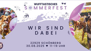 Norayas Pfotenknoten auf dem Wufftastischen Sommerfest (30.08.2025 in Schönberg)