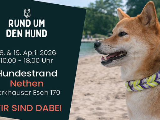 Hundemesse „Rund um den Hund“ am Hundestrand Nethen