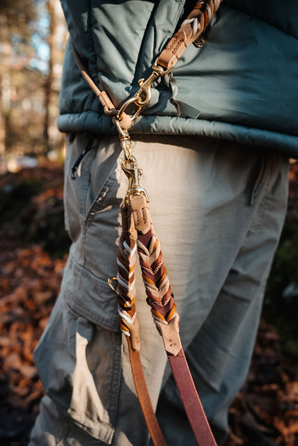 Koppelleine für zwei Hunde