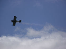 DSCF0598