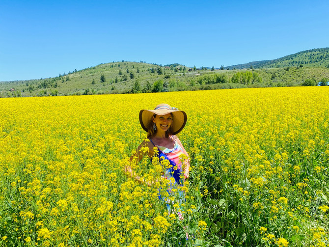 Yellowstone and Grand Teton Adventure: Part Two or Raspberries, Flower Fields and Verdant Meadows
