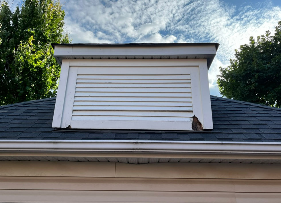 EC45F544-00BA-43F7-996E-A90EF6B5C200_1_201_a