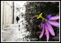 The streets of Heraklion, Crete, Greece