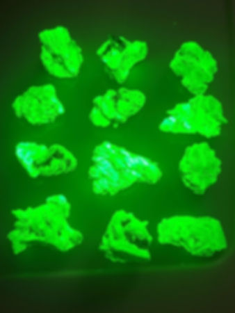 2.5 to 3.5 Gram Uranium Autunite Pieces Radioactive UV Mineral Display
