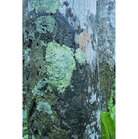 _dsc2610.png