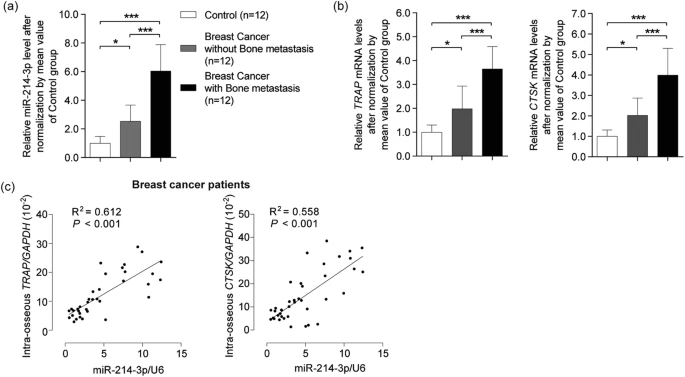 Osteoclastic miR-214 targets TRAF3 to contribute to osteolytic bone metastasis of breast cancer