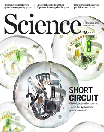 Generation of influenza A viruses as live but replication-incompetent virus vaccines