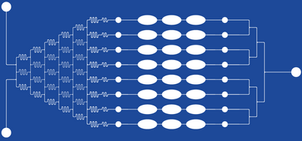 Aptamer Selection