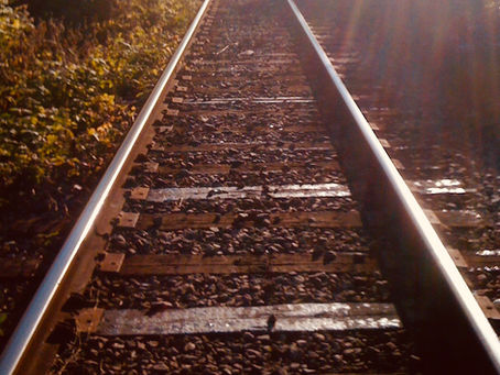 Spring Train-ing...