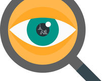 February 3 Council In Focus