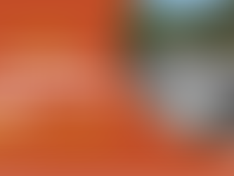 Evacuation Planning, Part II*