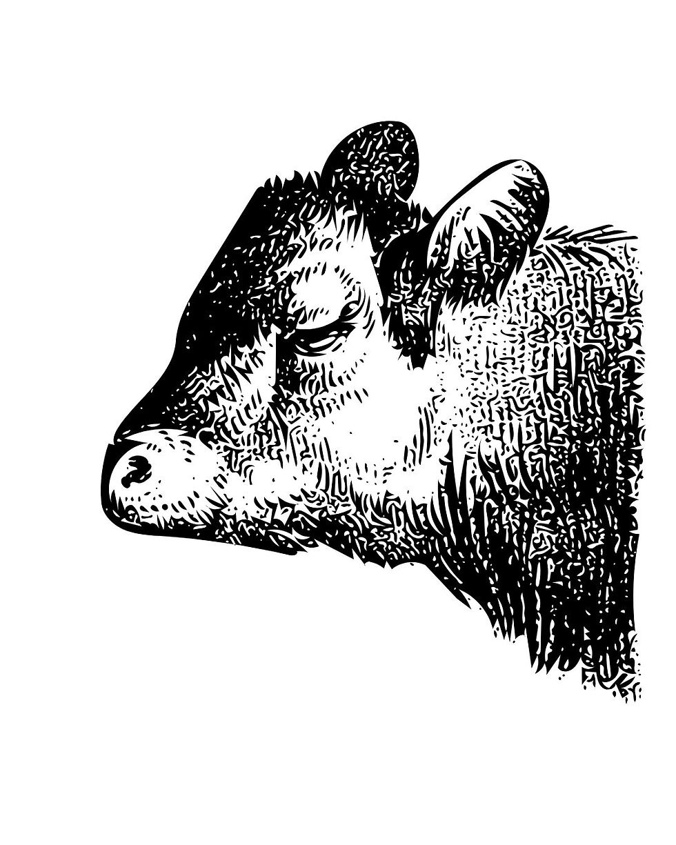 November COW(s): Budget Edition