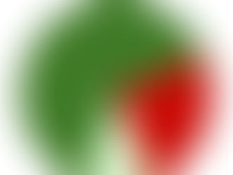 Garbage Bylaw in Spotlight