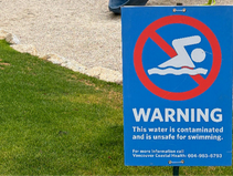 Beach Safety Questions Answered