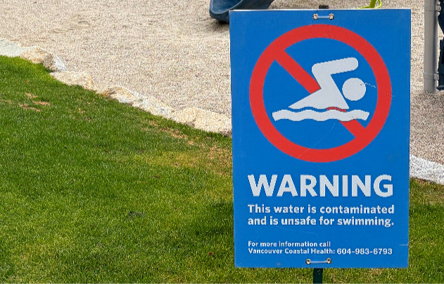 Beach Safety Questions Answered
