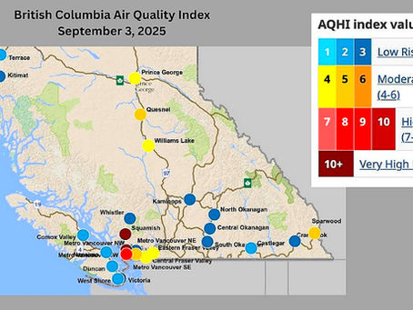 Surviving the Smoke