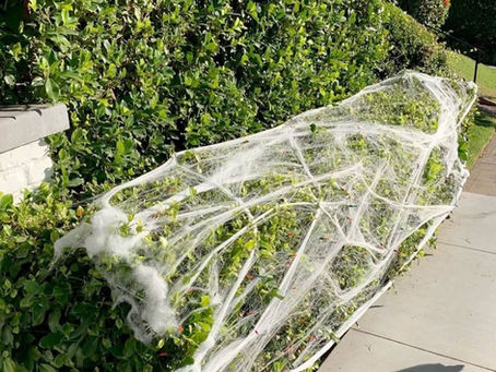 Consider Nature This Halloween