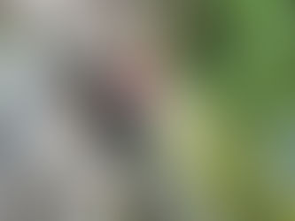 Missing Hiker Found Safe