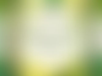 Springtime Melodies