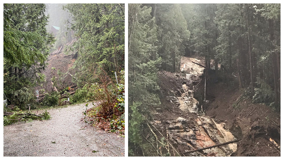 Debris piled beside the road, and in Battani Creek after the landslide. Photos by kc dyer, December, 2024.