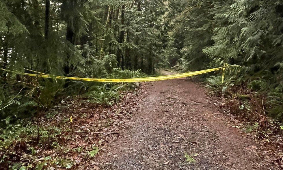 Local trail cordoned off after landslide, December 24, 2024.