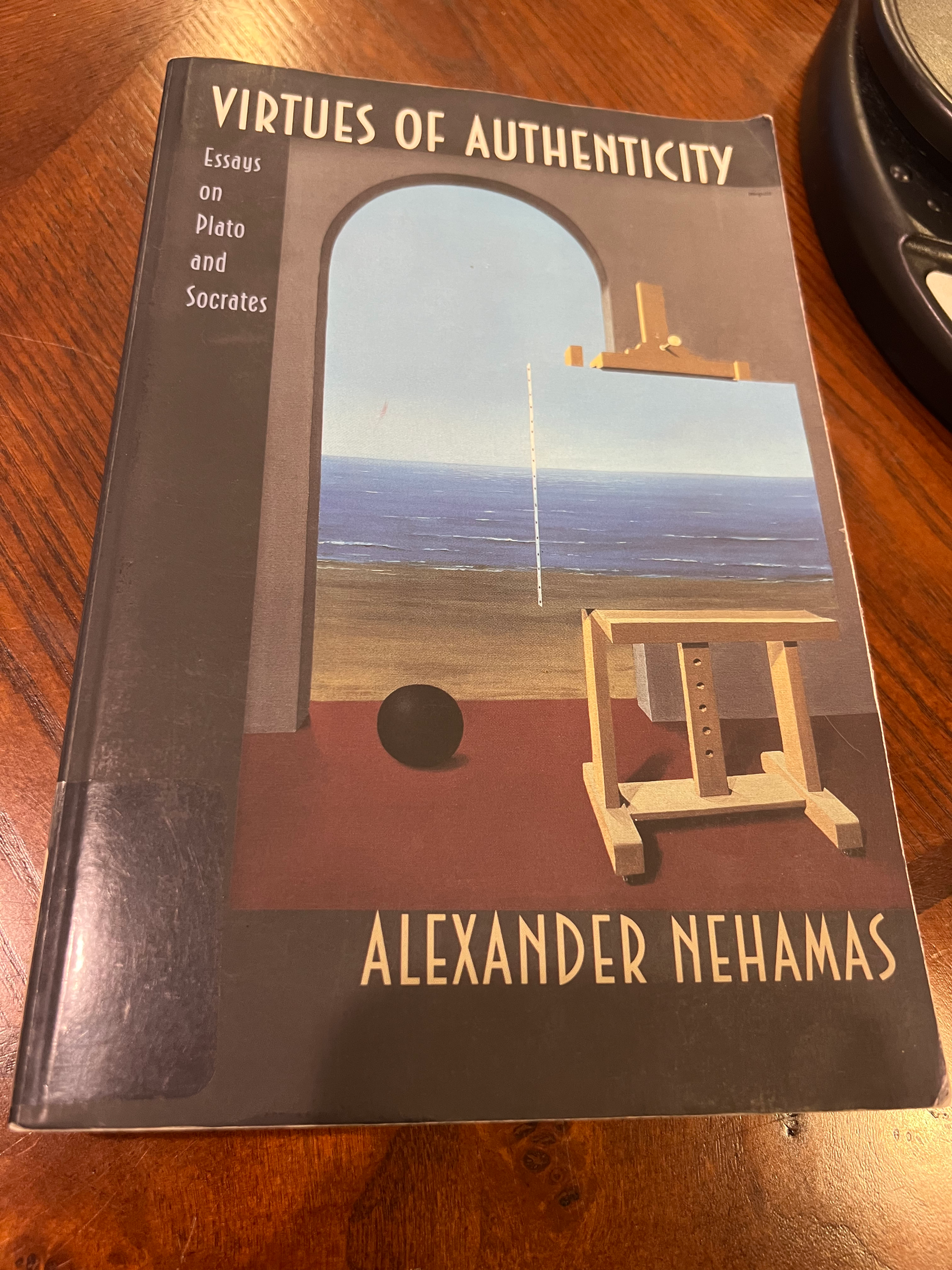 Virtues of Authenticity (Alexander Nehamas Essays)