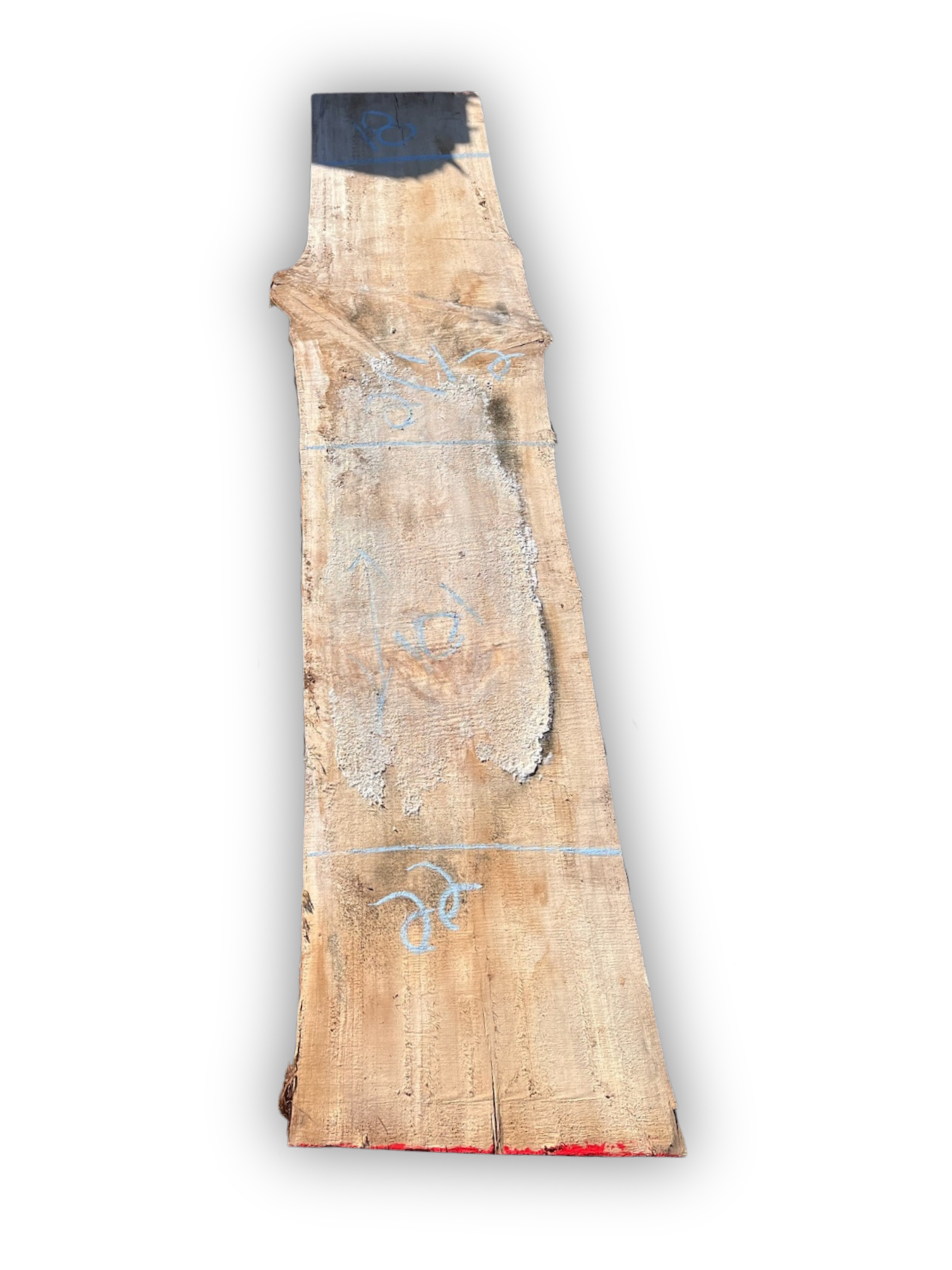 Silver Maple Live Edge Slab – 101" L x 18–22" W