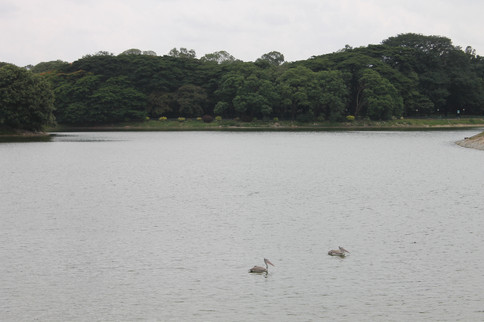 Lalbagh Lake
