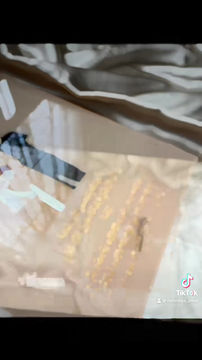 Miniature : Plexiglass family 