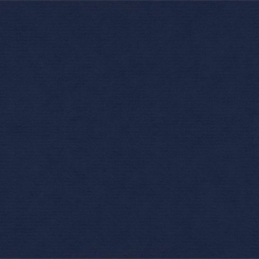 navy textured background_edited.png