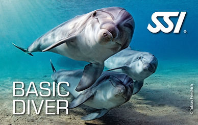 Basic Diver.jpg