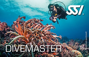 Divemaster.jpg