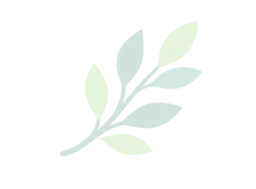 Untitled design-24.png
