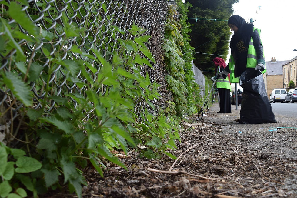 Street clean up project