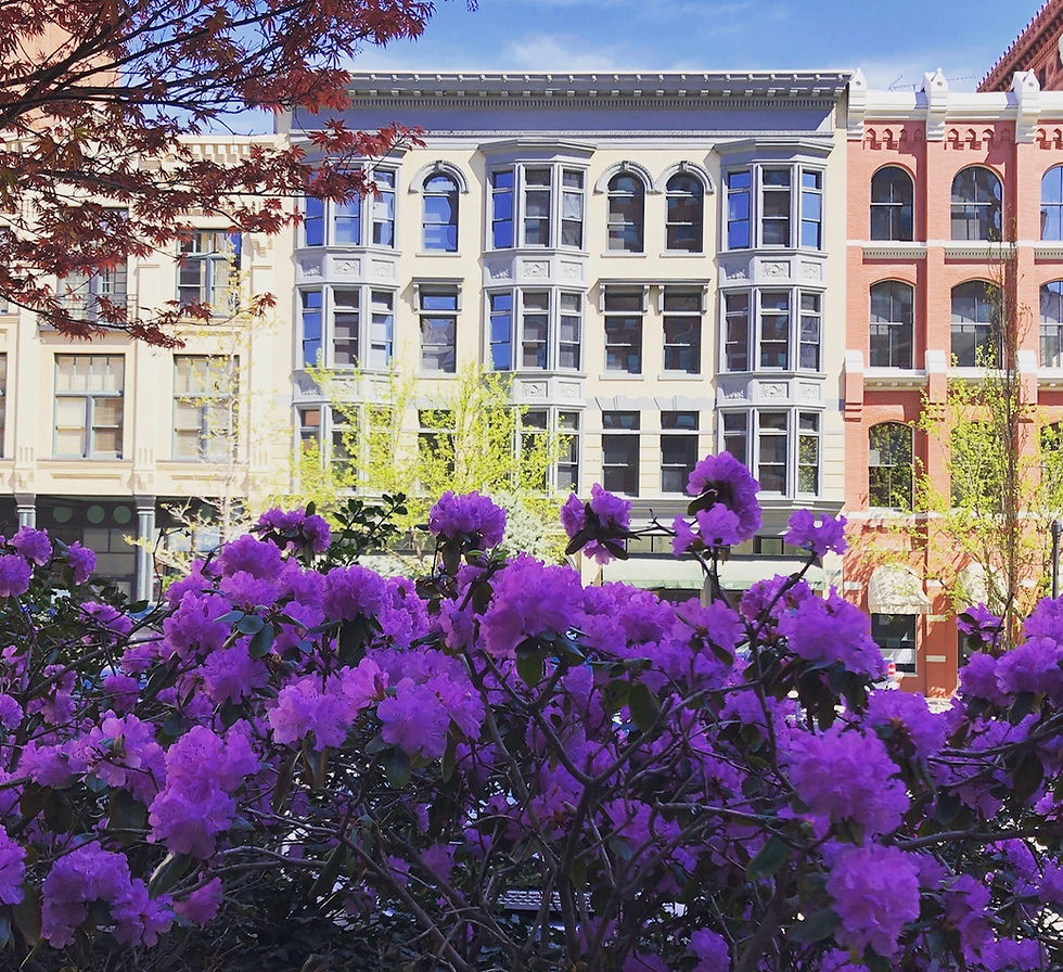 Marshall Lofts