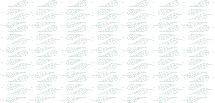 nc-leaf-background.png