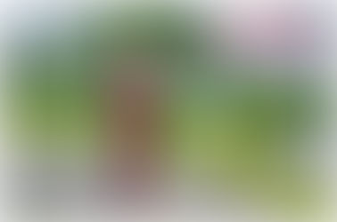 Preview outono/inverno Topázio Boutique