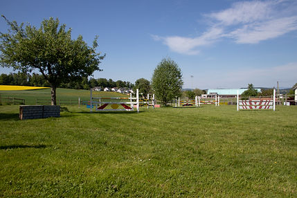 IMG_8549.jpg