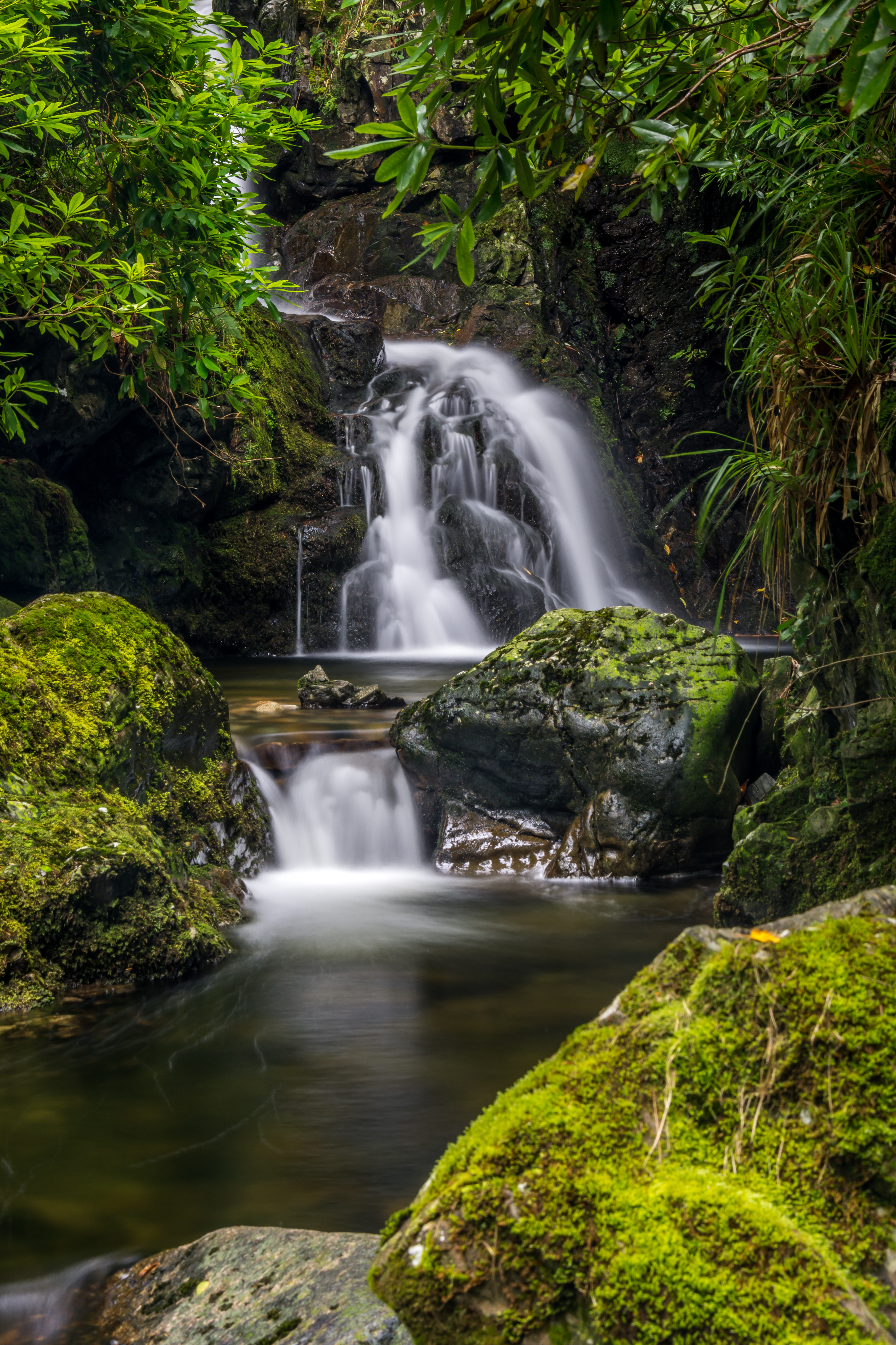 Tollymore Forest Waterfall - REF:9