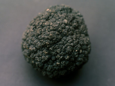 By User Koelle on de.wikipedia - Koelle, selbst fotografiert, own photo, CC BY-SA 3.0, https://commons.wikimedia.org/w/index.php?curid=1345805