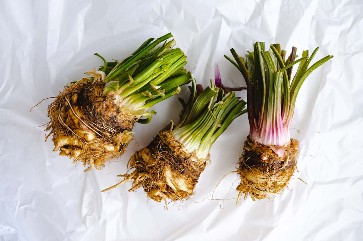 Source: Restaurant Mani