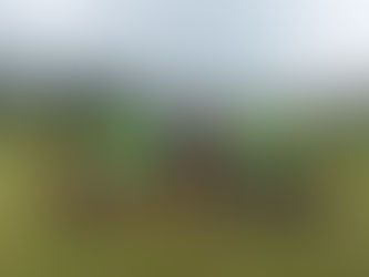 Олімпійський тиждень