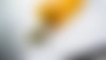 The Lancet Psychiatry Review Finds No Evidence for Cannabis in Mental Health Treatment, But Real-World Data Tells a More Complex Story