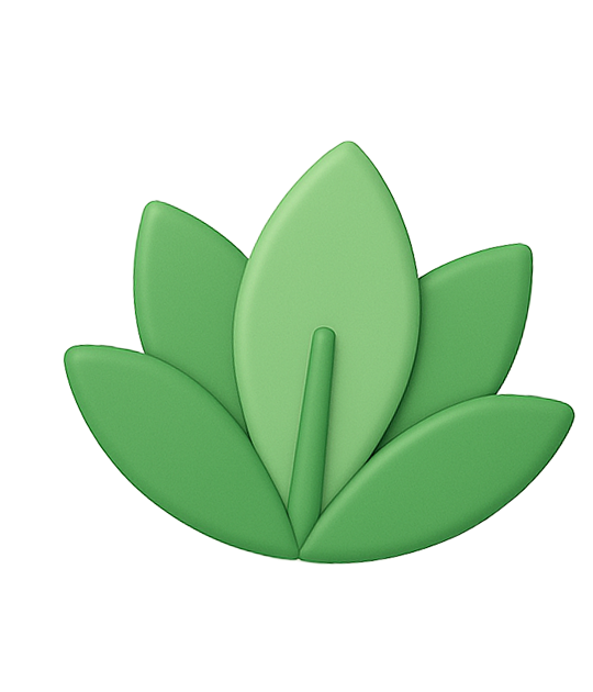 image 9.png