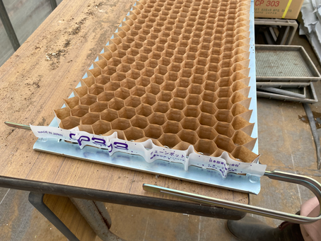 ネギ種まきしてます